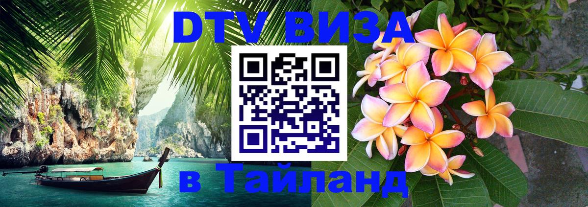 Оформление DTV визы под ключ: стоимость и тарифы, только загранпаспорт - 19.11.2025 